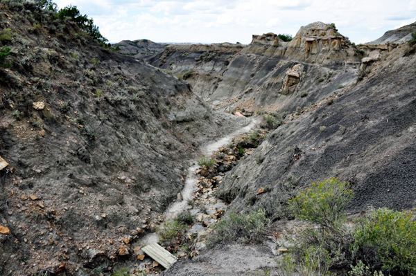 Cap Rock Trail at Makoshika State Park
